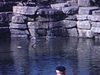 Printemps: fillette et bébé dans un parc nature, bois et ruisseau. Fillette et bébé fille s'embrassent. Fillette lance des roches dans l'eau
