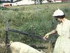 Madame en petite robe et lunettes fumées pose avec des cochons derrière une clôture: (campagne, ferme)