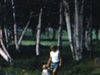 Promenade mère et fillette au bord d'un lac en forêt, papa avec bébé fille dans les bras, l'embrasse