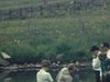 Famille et enfants en costume de bain près de la mare aux canards, fillette sautille 