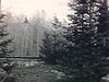 Un homme travaille à l'entretien du terrain de son chalet de bois rond, il tire une plate-forme chargée de roches à l'aide de son cheval.