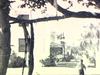 Jeune enfant pose devant un gigantesque arbre tropical en ville, plans de l'arbre