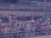 Grosse foire agricole: parade de bovins, foule, plans d'ensemble des activités (majorettes, parades, etc.)