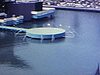 Expo 67 - vue du site, plans variés des touristes et des pavillons - Jamaïque