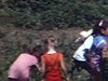 Les enfants autour du camp - chalet - ramassent des petits fruits - cueillette de framboises, ou fraises - garçon avec son chien