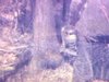 Des hommes coupent des arbres et les ébranchent à la scie mécanique, à la cabane à sucre (entretien de l'érablière, bûcherons)