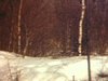 Deux ski-doo dans le bois, sortent du bois. Plan rapproché, madame au volant du ski-doo, motoneige, enfant au volant du ski-doo, 