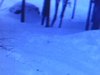Piste de ski-doo filmée, série de sauts en ski-doo, ski-doos alignés, départ de course de motoneiges
