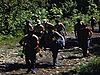 Scouts en forêt, ils chantent «Y a-tu des filles icitte?» avec leur chef de troupe, une femme; ils partent en randonnée pédestre, gravissent peu à peu une montagne / son : chanson de scout.
