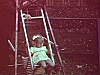 Bébé fille et grands-parents près de la maison, dans la balançoire, papa l'aide à faire du tricycle, enfant regarde la caméra