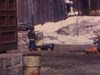 Maison de campagne, près du garage un tracteur rouge assez vieux et de automobiles années 70