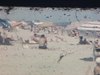 Famille à la plage, jeunes adultes se prélassent au soleil sur des serviettes, une petite fille joue avec des seaux, une pelle et du sable puis enfants jouent dans les vagues