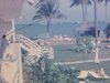 Voyage dans le sud, cour de l’hôtel, des femmes regardent le paysage de la terrasse, palmiers sur la plage - Puerto Rico 1964