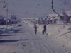 Adultes marchent dans la rue de banlieue, l’hiver, ils promènent un chien - maisons et bungalows