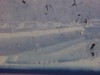 Filmé d’une automobile en marche, sur une autoroute l’hiver, montagnes