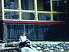 Une femme sur le bord d’un lac au chalet, elle lit une revue assise sur des roches, elle rentre à l’intérieur, paysage - 1955