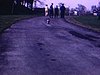 Un petit chien court sur le terrain près de l'écluse st-ours, une femme le flatte et joue avec