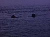 Baigneurs dans un lac, une femme de dos marche vers l’eau. Deux fillettes se baignent dans une piscine hors-terre, mère accoudée sur le bord, gros chien, ballon de plage