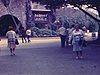 Entrée de «Parrot Jungle», des femmes marchent dans le zoo d’oiseaux, perroquets, flamants roses, cocons dans les arbres