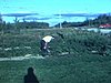Une petite fille aide deux hommes à jardiner, maison, les deux hommes bèchent la terre, l’enfant a trouvé quelque chose et le montre à la caméra