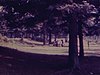 Des enfants et quelques adultes dans un parc près d’un lac, autour d’une table à pique-nique sous les arbres