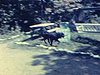 Un homme lit un magazine, il salue la caméra; deux femmes sur une plage saluent la caméra, un chien court, une femme avance vers la caméra 