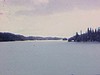 Terrain enneigé au bord d’un lac gelé, un écureuil sur le bout d’une branche - hiver