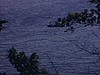 Sur un lac, une chaloupe à rame avec des gens, plusieurs éléments de la forêt, petits fruits, champignons, gros plan sur une chenille, plage et petites vagues sur le sable - nature