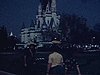 Walt Disney World, château, une femme pose, fleurs, touristes, défilé