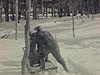 Cabane à sucre, un homme se promène en traineau tiré par un chien, un homme marche dans la neige vers la caméra