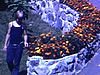 deux adolescent marchent et regardent les fleurs, ils posent pour la caméra