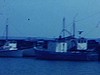 Port au Nouveau-Brunswick, à Bathurst, les pêcheurs déchargent du poisson d’un bateau, bateau «Roger Dianne» quitte le port