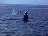 Un homme a de l’eau jusqu’en dessous des bras, il pêche avec un filet (pêche au saumon ou à la truite - pêche à la mouche)